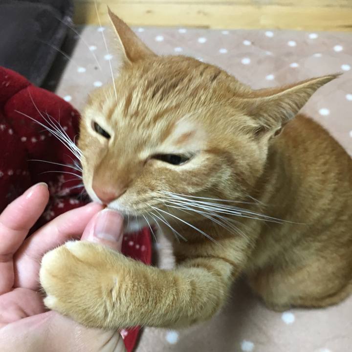 8b8a2193 aab8 4539 b0f8 862209db9222