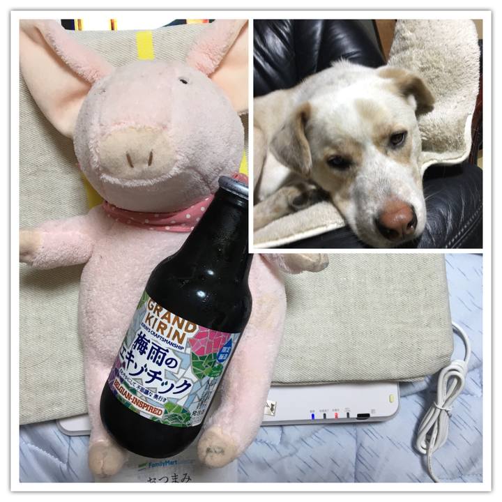 8b8a6d8f 9c14 47a6 89bc 5e3144977fd0