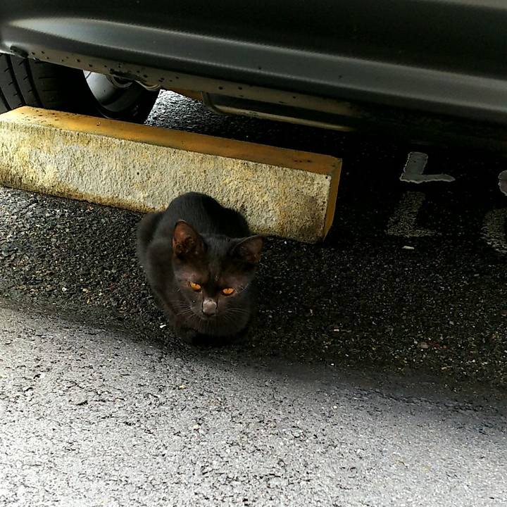 8b8b5fb8 a240 4a88 ba7f e1db1ef1d73d