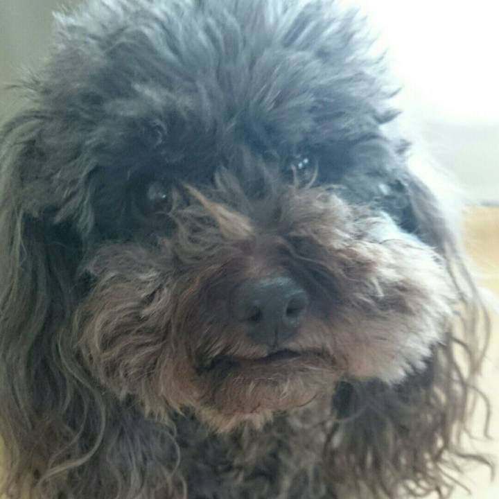 8b8b8b73 a99b 4335 a356 7888d2bf309b