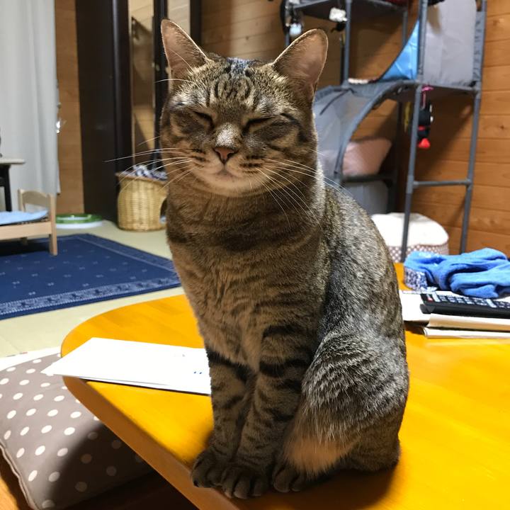 8b8b94eb 767d 4b20 bac8 ec61887c4015