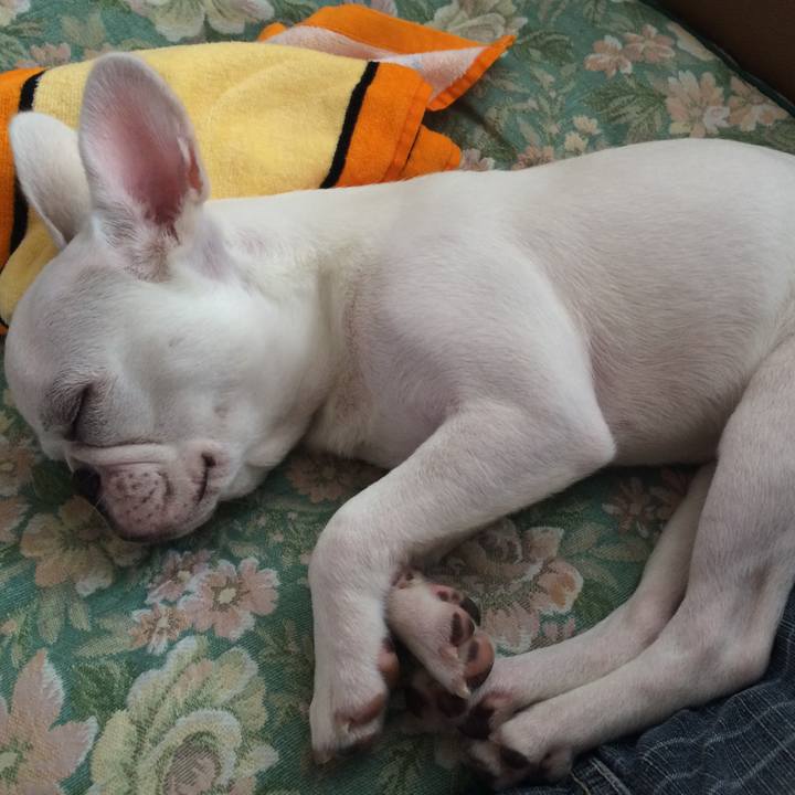 8b8bde7e c4e4 4e9d be86 d5c39d7dfe0b