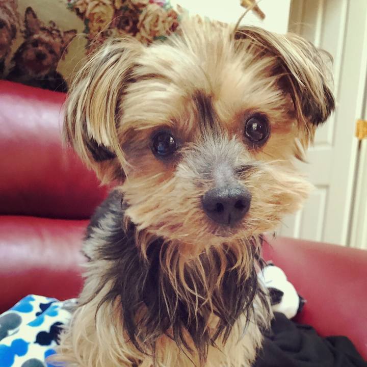 8b8bfa20 b568 41dd a4f5 e9344ad1c14e