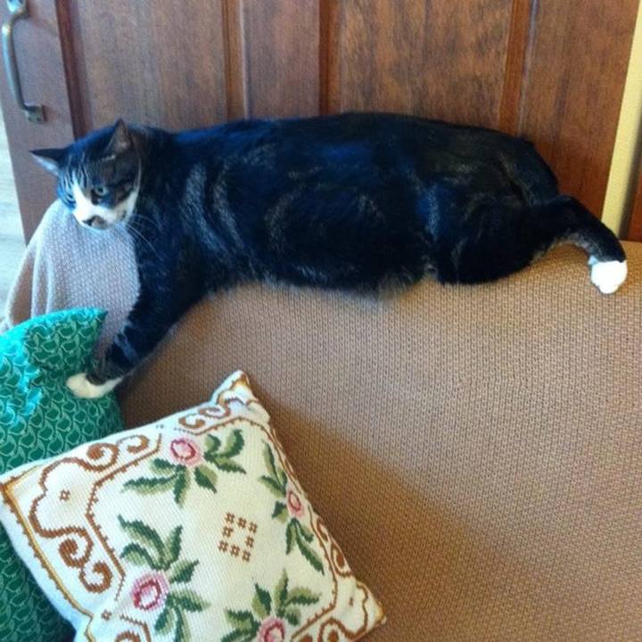 8b8c8caa a6b8 46a8 bd3b 8aabcc42527b