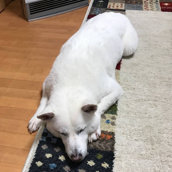 8b8db8e7 d841 4a58 a64c 816e8be9ca55