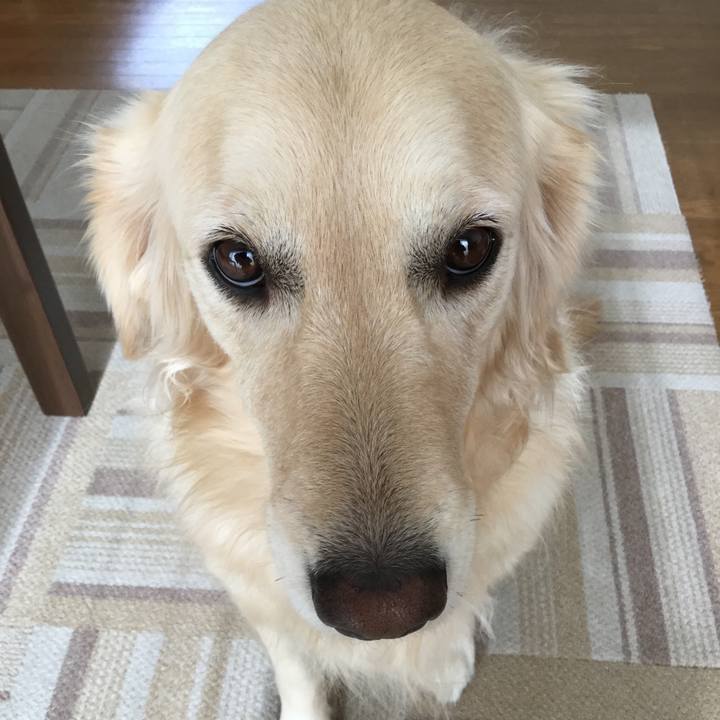 8b8e8246 1183 4827 9687 d8a3325748df