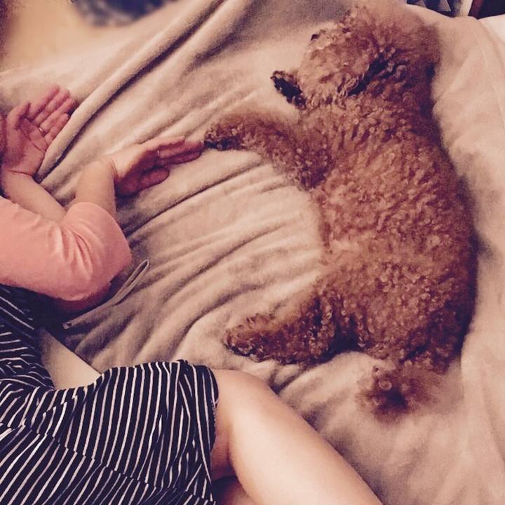 8b8ea055 a53d 4cbb b49b 31c08c092432