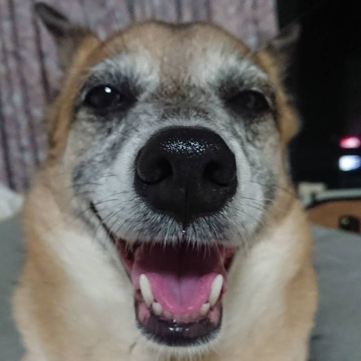 8b8ef5b8 dad8 41d4 9cef 0e0abaa00631