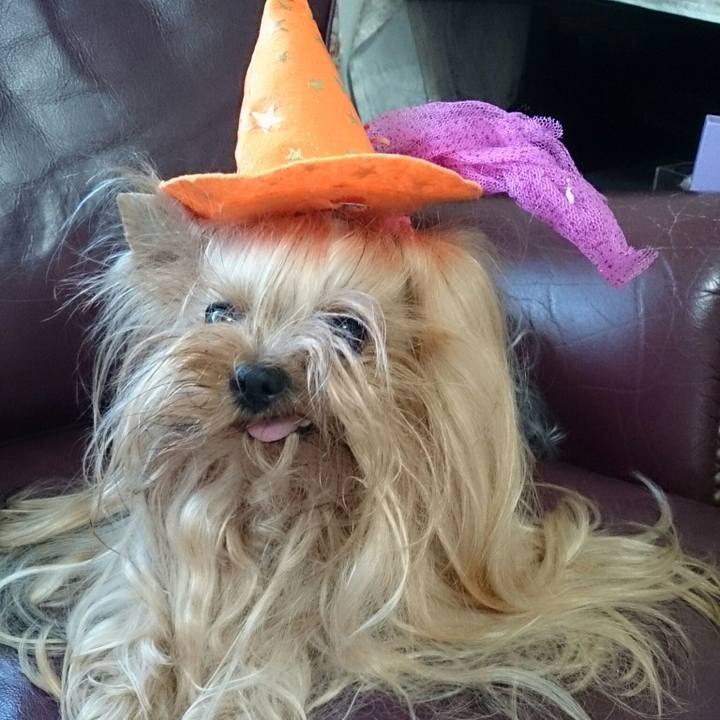 8b8f0e2c 3ee4 464e b2de 9e06807ee75f