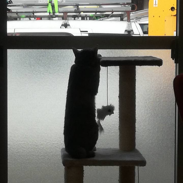 8b8f1042 eb97 4748 bdc9 aa6a845d50ec