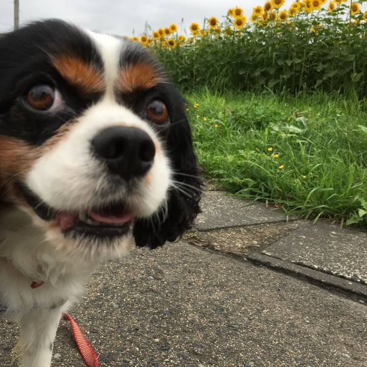 8b8f31a8 7a0a 48e7 a1c1 fcbca7e6f90a