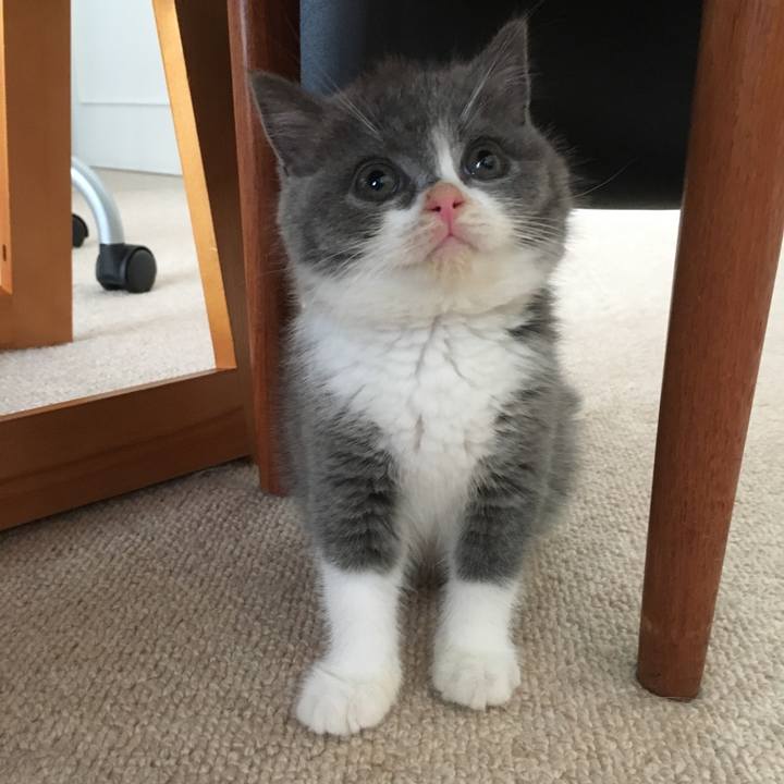 8b8f7ca4 d570 4240 ad6a 6e82fac555de