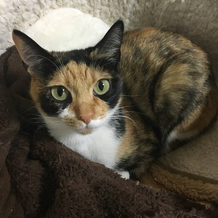 8b8f84c6 2786 4b00 b695 56886b1b04ac