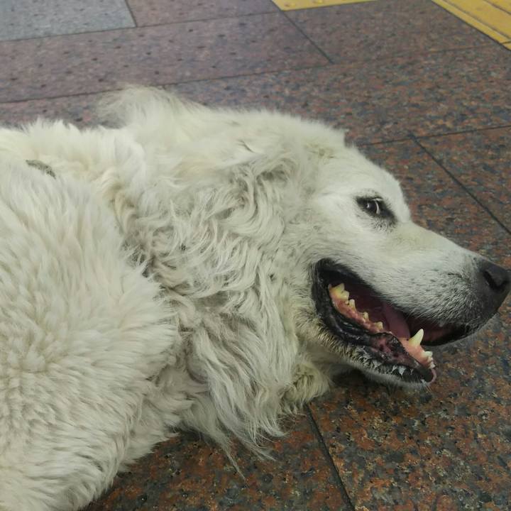 8b8fd865 3414 4eb3 b132 af5131ef8f4f