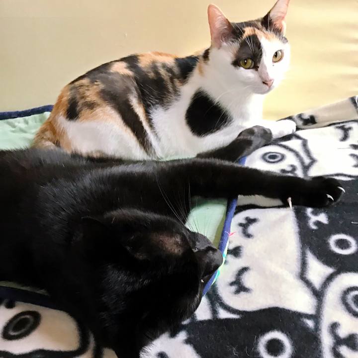 8b90fa35 6cc0 4ce3 bd1f 90c1d557ccd4