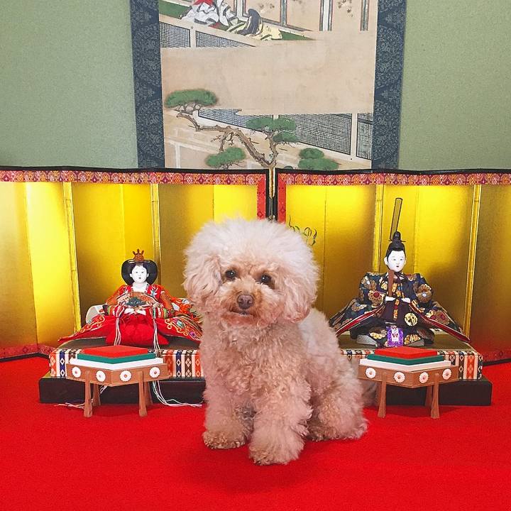 8b926913 0cd8 4fde a93c 2f3833ec1c03