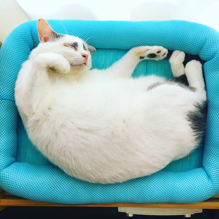 8b928cea f711 4eb6 9dc5 0996c1d82283