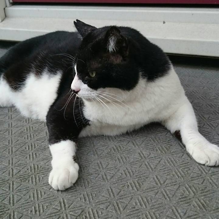 8b92ee05 824b 4808 9e02 08c66948632b