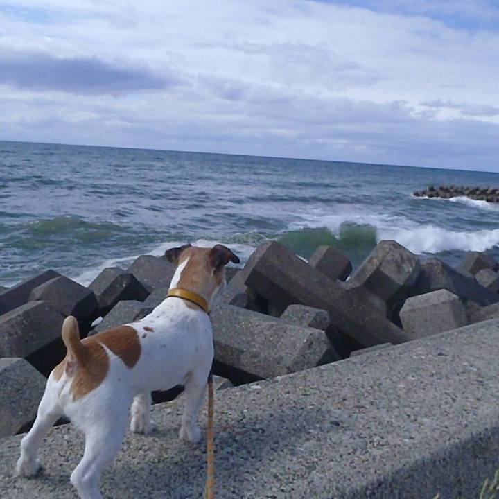 8b930f7c 3489 4c75 a8ca cc52fa802928