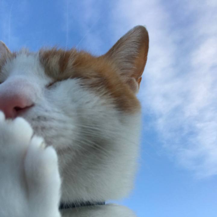 8b935406 59b4 4e30 8f5c 5781c98d219f