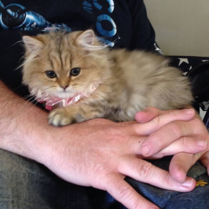 8b9367e5 1078 4930 ac97 7e9d85279d45