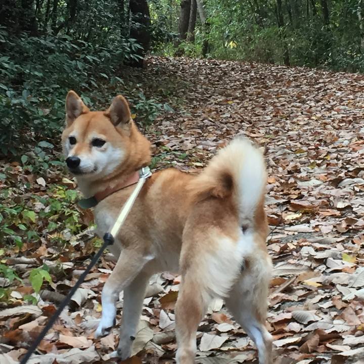 8b950d08 890c 4eba 92f1 f5d7d3b9077a