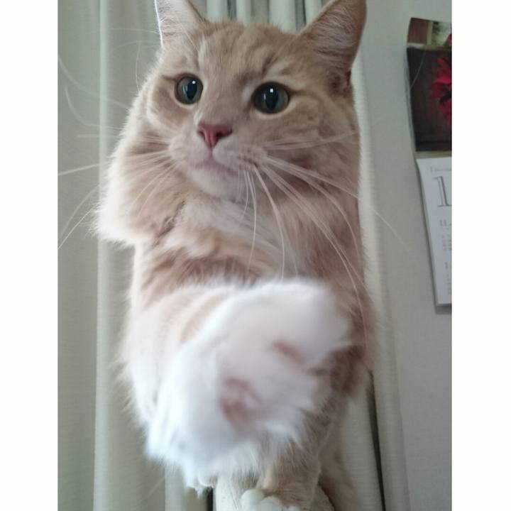 8b955d43 369d 4c59 b45f f186f4ca9503