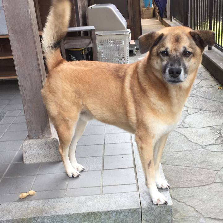 8b957db9 c379 4330 a4ea bc1f0fa66a09