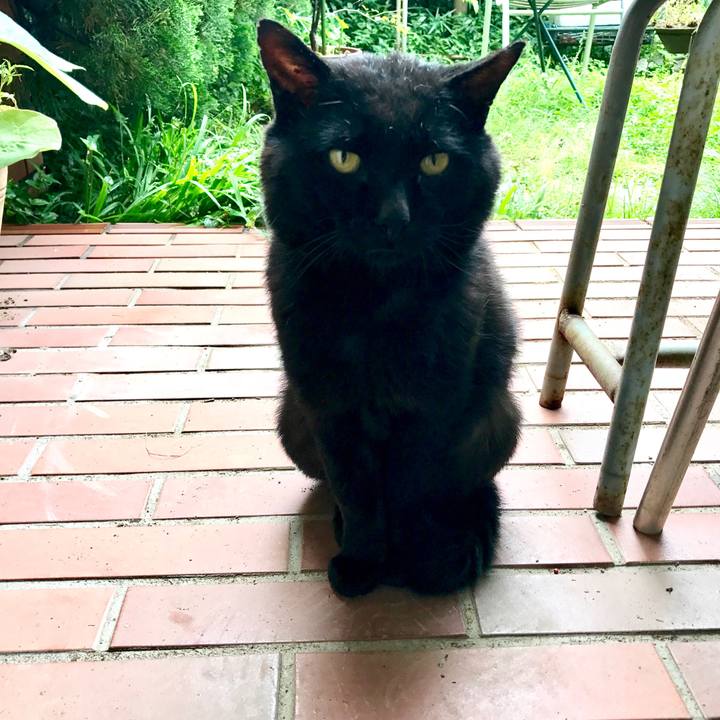 8b9585c4 e1d5 4a6e bd60 bd20e7f63f83