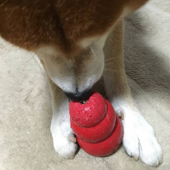 8b9640d2 55b6 47b5 b478 7ea0378ecccd