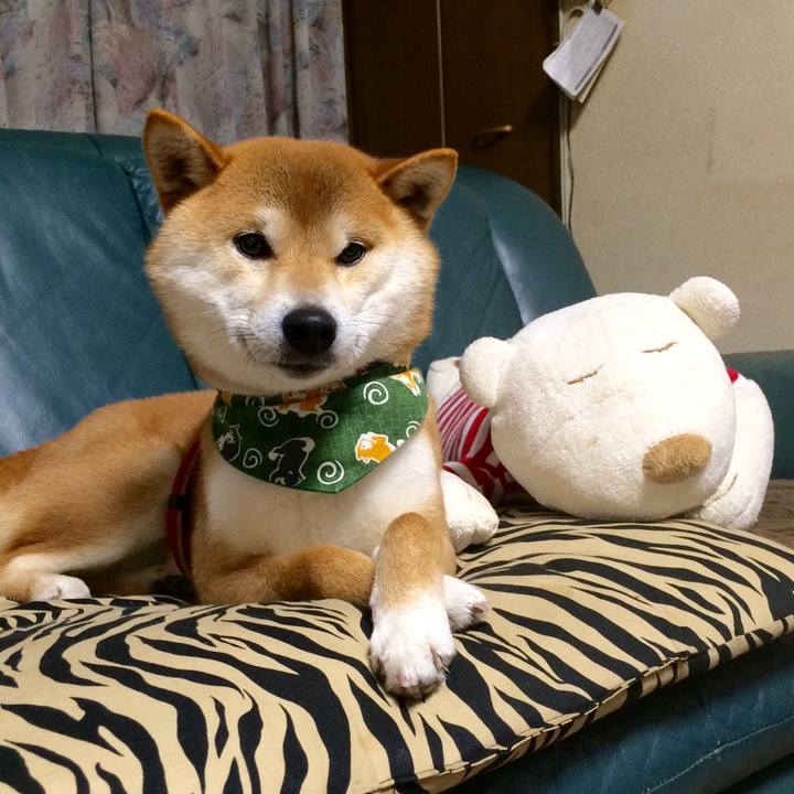 8b9659f8 963e 4057 91b4 04191f146794