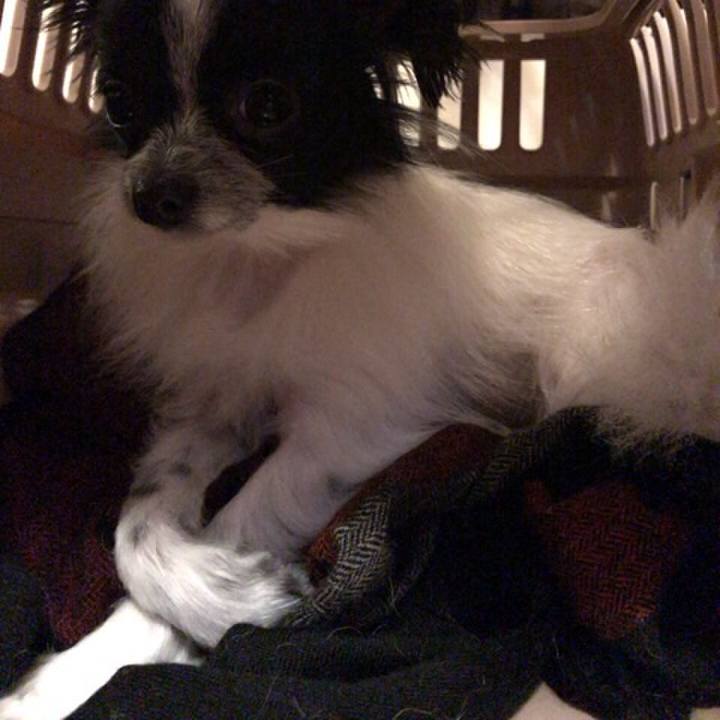 8b977b0b d8ab 4335 9746 de25d2fe1977