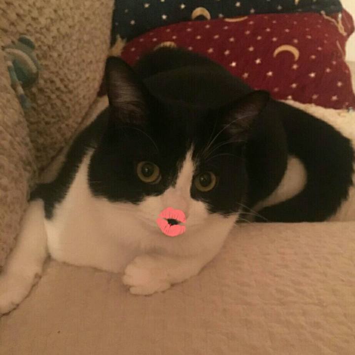 8b9786f7 fcbf 4ce1 a299 d3f6dd5dda1f