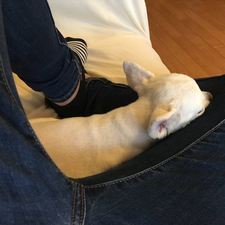 8b981c70 edb7 4e3e 8a21 47fd7a89a843