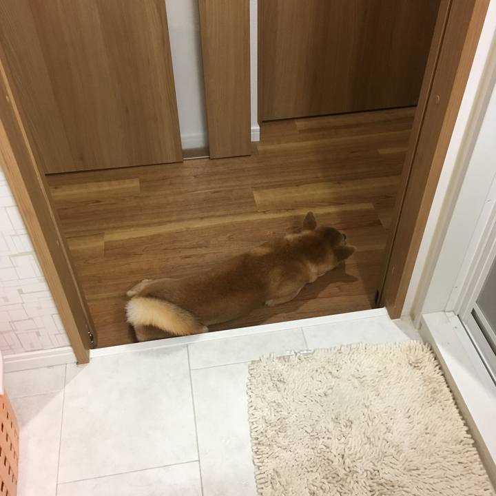 8b98bf4c 1433 4614 8361 aafd5ad6fe6b