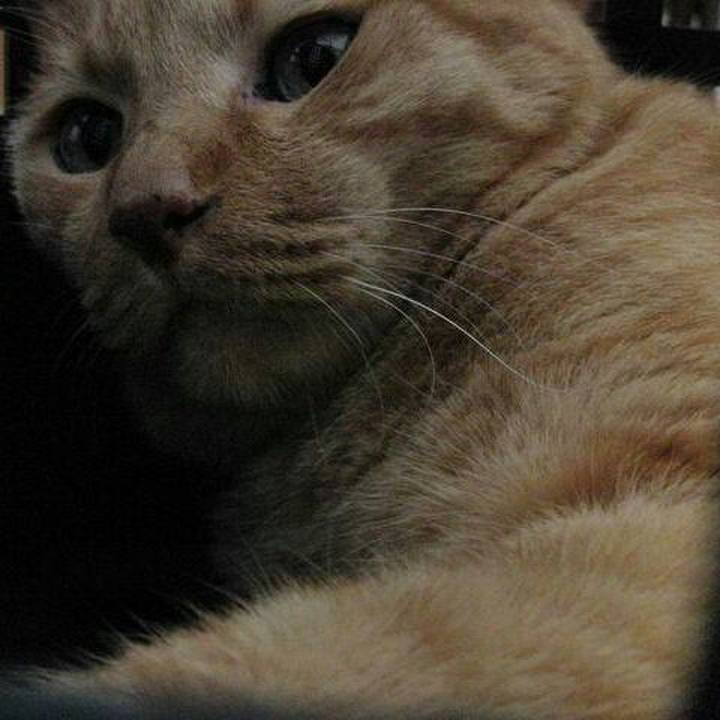 8b990cd9 db3e 431b 88e4 aceef9d295c7