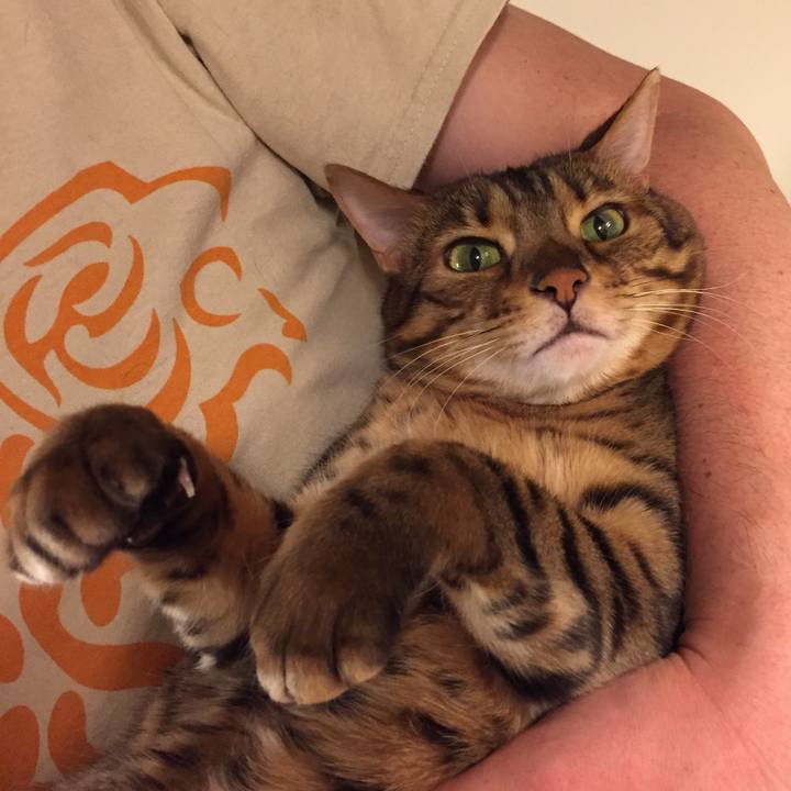 8b99cab9 58c8 41a3 abef 885c6c03aaa6