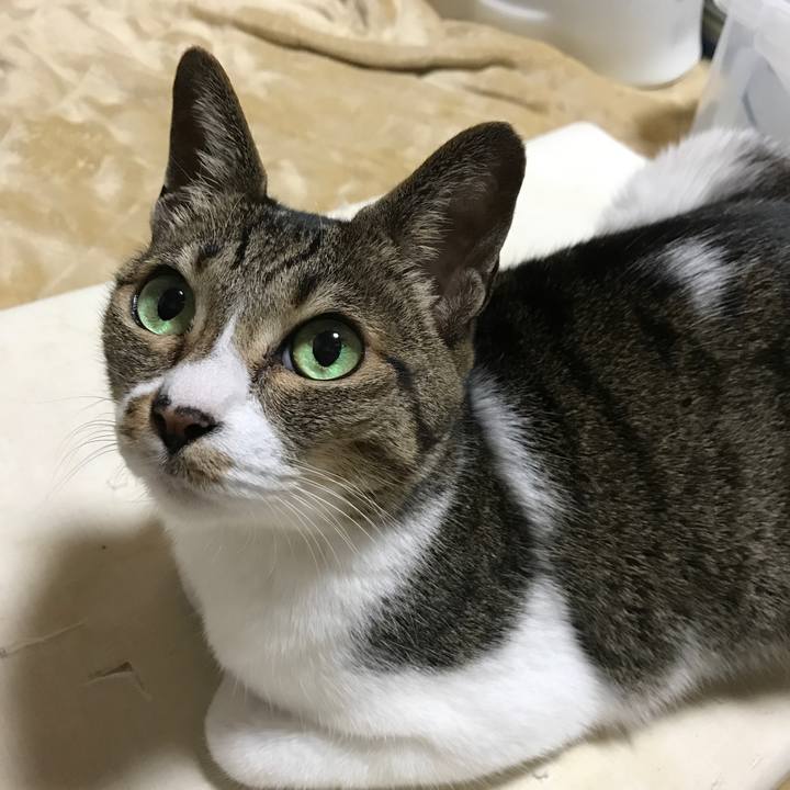 8b9bbfcb abbb 4ebb af96 c66cc07a9109