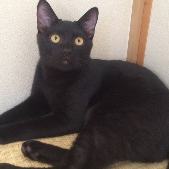 8b9c5c12 56a9 4811 9e25 e6e109c8d880