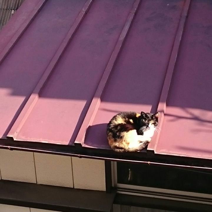 8b9c5f07 6a33 4055 917c c8e7f72b1e0d