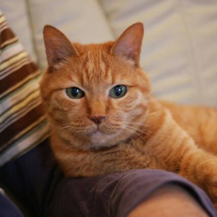 8b9cf8d5 12f3 403f b1d8 61446124ede7