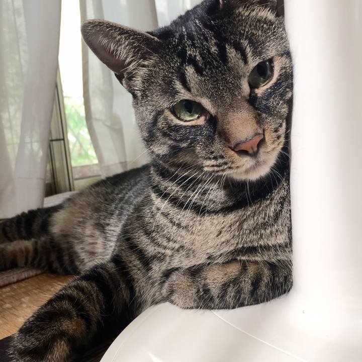 8b9dcb09 9d2f 4304 a22c cd72e0373d8d