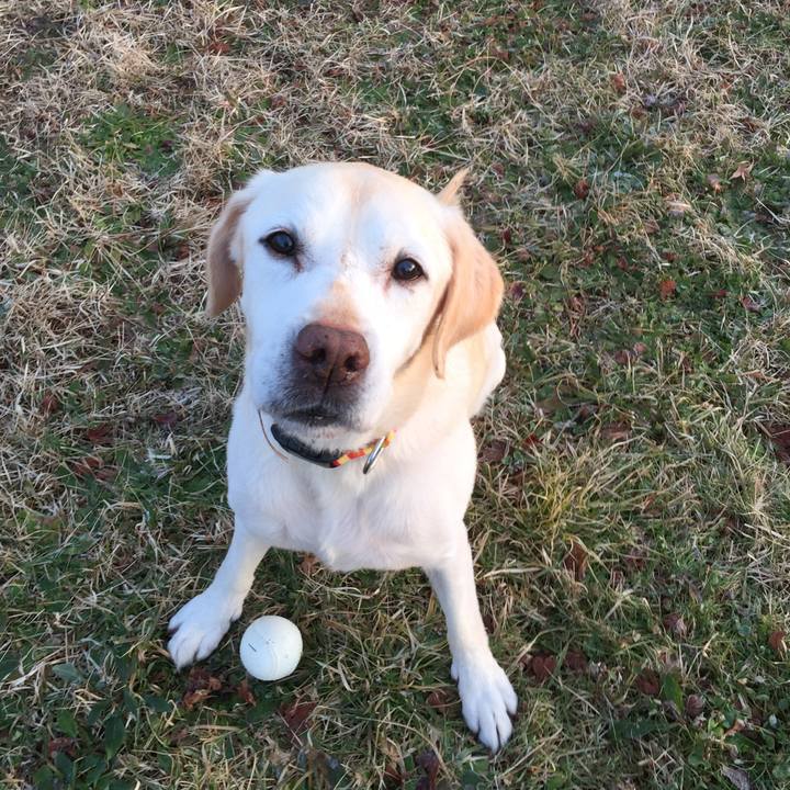 8b9e0ad2 325f 44ae bce7 321abeabfb22