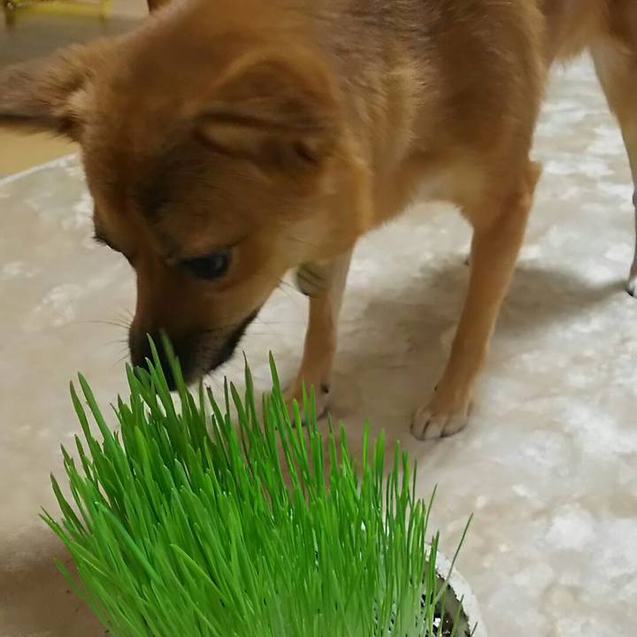 8b9e0b99 7cbe 4d6d bcca 93a4bd83e8d7