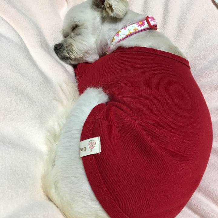 8b9e5ed0 f946 443a 9c97 4150f289be47