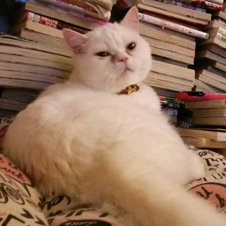 8b9e68f0 2e80 4b62 a4fc 2183b5d6aac1