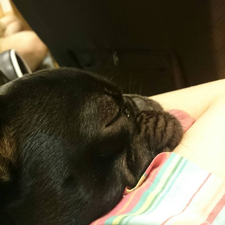 8b9f582a dc60 4c80 86eb caa8317f6e3b