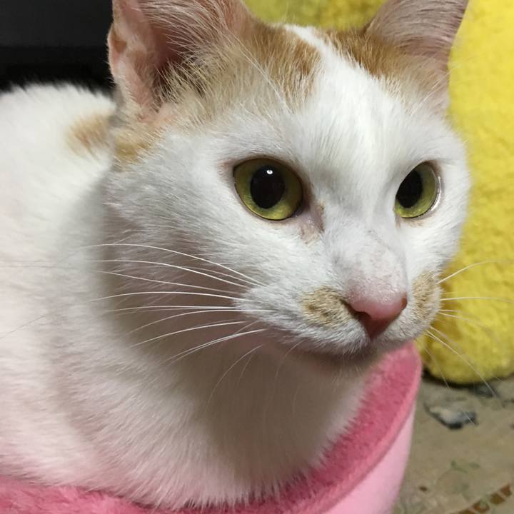 8b9f78bb 2e59 479d 8093 e23cc0ca799b