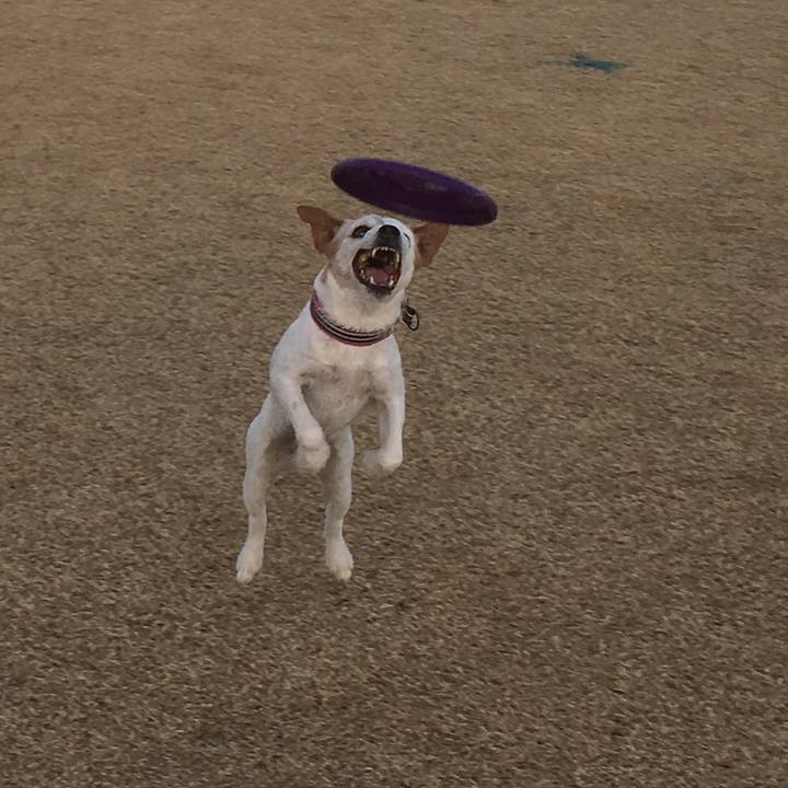 8b9fd769 cab6 48b1 b8cc 8cdbc313f3ec