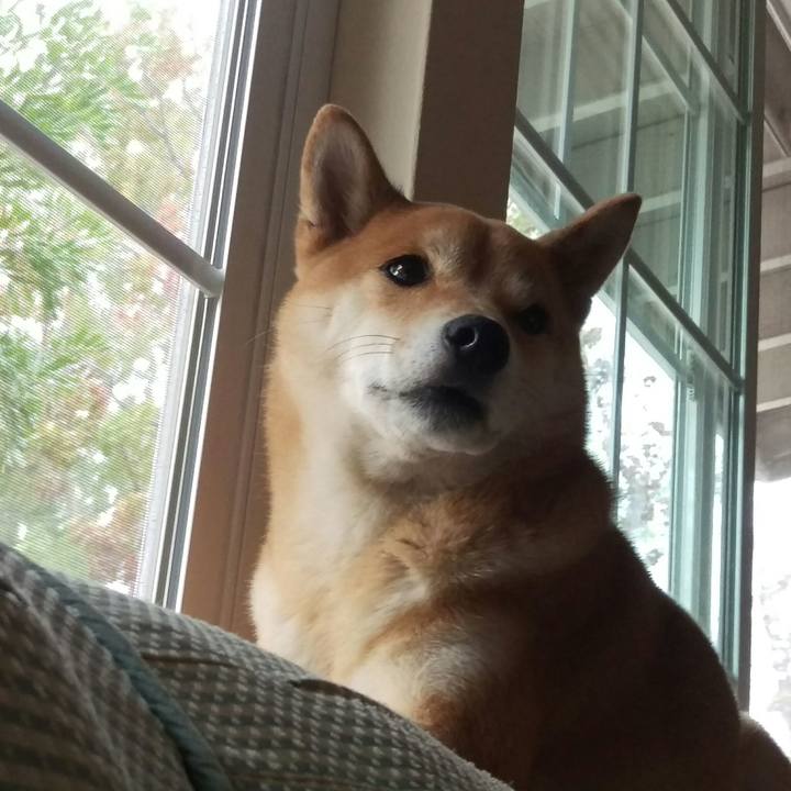 8ba01bf1 aa6f 4b2e 90ad 4f9e85f88302